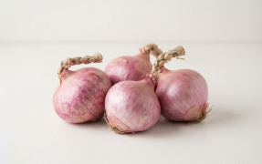 Fresh Onion