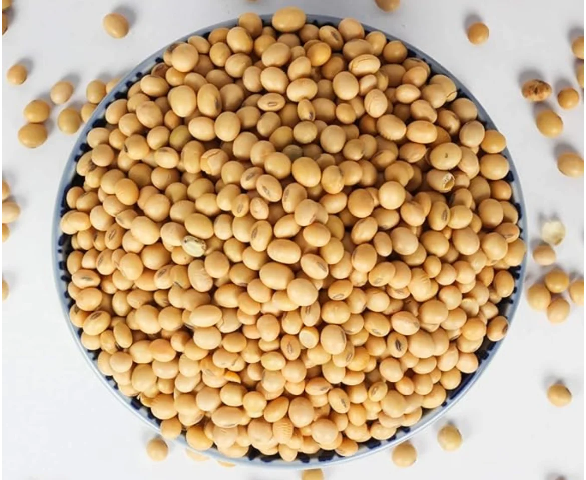 Soyabean Seeds